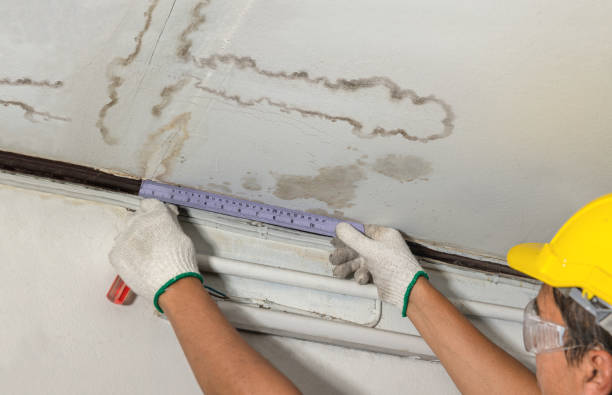 Reliable Water Damage Repair contractor in Carol Stream, IL by Hirex Water Damage